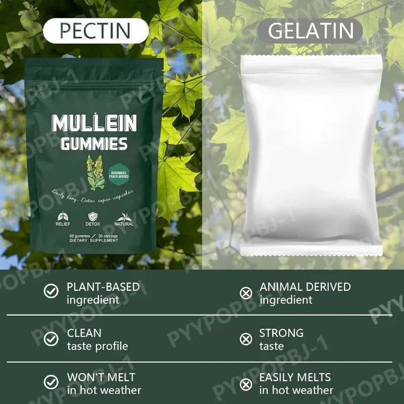 Mullein Leaf Gummies — Daily Lung Support, Respiratory Health & Sinus Relief Supplement 60 Pieces